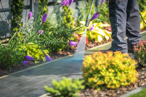 Best Driveway Pressure Washing  in Kingston, IL